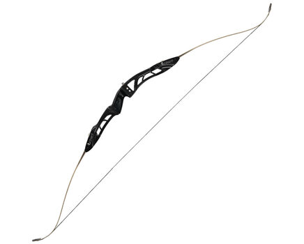 Купите классический лук Bowmaster Expert - Energy (Боумастер Эксперт Энерджи) в Москве в нашем интернет-магазине