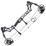 Блочный лук Bowmaster Hitman RTH (Боумастер Хитмен)