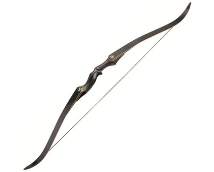 Купите традиционный лук Junxing F171 в Москве в нашем интернет-магазине