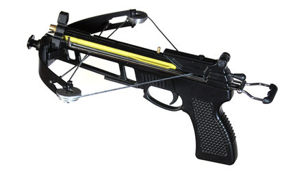 купите Арбалет-пистолет Аспид (шнеппер) в Москве